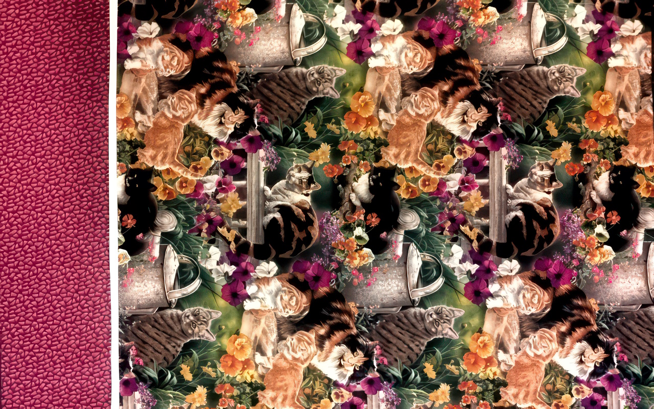 Cats in the Garden