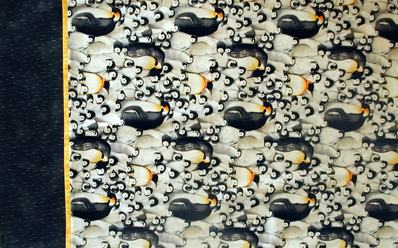Penguins Rule