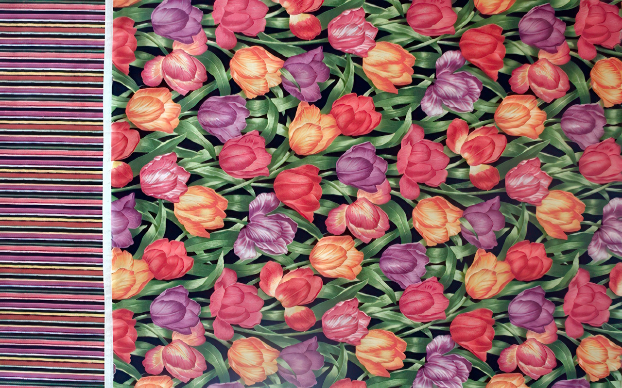 Tulip Garden